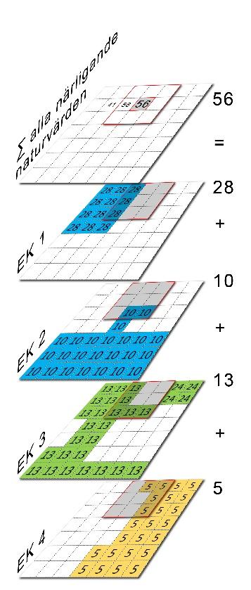 Figur 9. Illustration över hur en karta över summan av alla närliggande naturvärden oavsett kategori tas fram vilket ger en karta över var mångfalden av ekosystemkomponenter (EK) hög respektive låg.