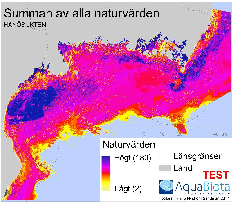 Figur 10. Kartan visar summan av alla ekosystemkomponenters naturvärdespoäng för varje minsta bedömningsenhet (här 25 25 m).