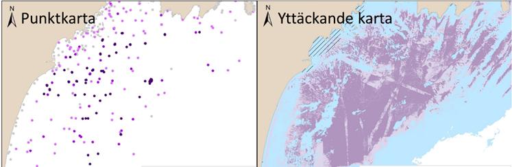 Havs- och vattenmyndighetens rapport 2017:XX Figur 4. Två olika kartor över blåmussla i västra Hanöbukten.