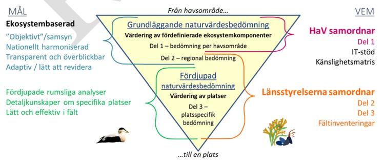 Havs- och vattenmyndighetens rapport 2017:XX 5 Ramverket 5.