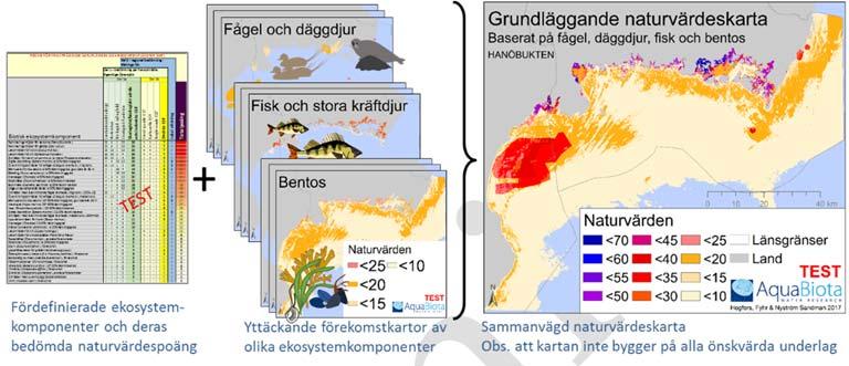 Havs- och vattenmyndighetens rapport 2017:XX ekosystemtjänster då de är svåra att skilja åt) eller även inkludera de värden som tillkommer om ekosystemkomponenter också representerar direkta