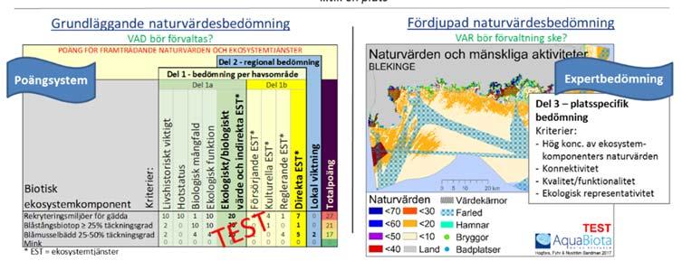 Figur 1. Överblick över ramverket Mosaic. Översta delen av figuren visar hur den grundläggande och den fördjupade naturvärdesbedömningen förhåller sig geografiskt till varandra.