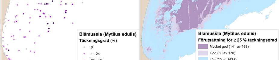 Modellen har utgått från samma punktdata som visas i den vänstra kartan men har med hjälp av statistisk modellering och information om miljövariabler (så som djup, exponeringsgrad, salthalt och