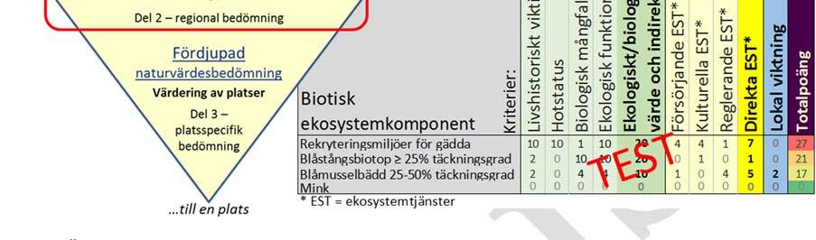 Figur 3. Överblick över den grundläggande naturvärdesbedömningen i Mosaic för marin miljö.