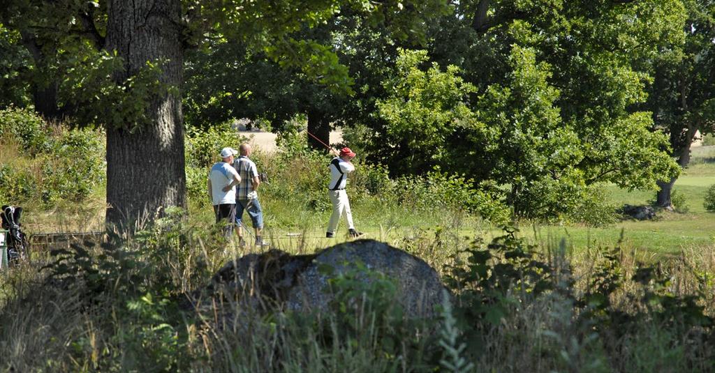 En meningsfull och aktiv fritid lyfts ofta fram som en viktig del i en levande landsbygd och det är viktigt att aktiviteter och arenor för kultur och fritid finns även på landsbygden.