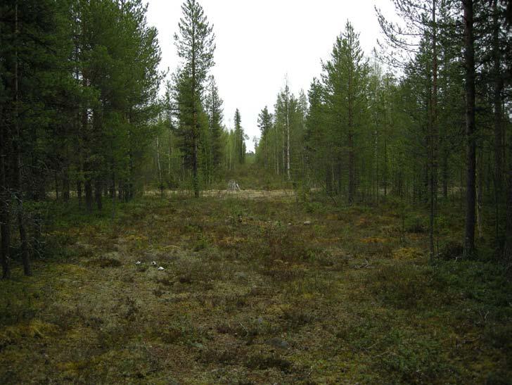 Rapport 2011:17 Arkeologi Pajala Arkeologisk utredning fastigheterna Pajala 6:4 och 9:3, Pajala socken och