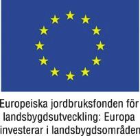 Anvisning till blanketten BYTE AV SÖKANDE ELLER STÖDMOTTAGARE - ansökan om stöd Vem ska använda blanketten?