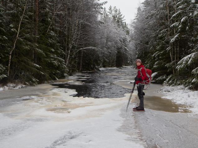 Tvärtomfenomen Nära land: Värme från strand och botten.