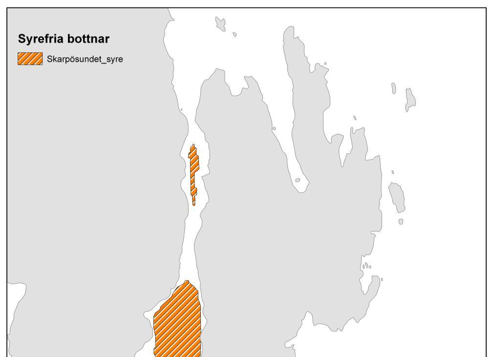 språngskikt under dykinventeringen visade att det stämde ganska väl överens med djupgränserna för syrebrist.