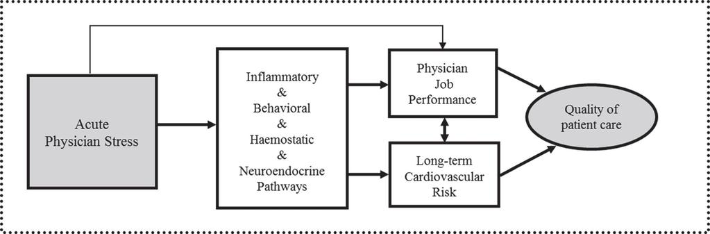 Conceptual model linking physician stress to performance