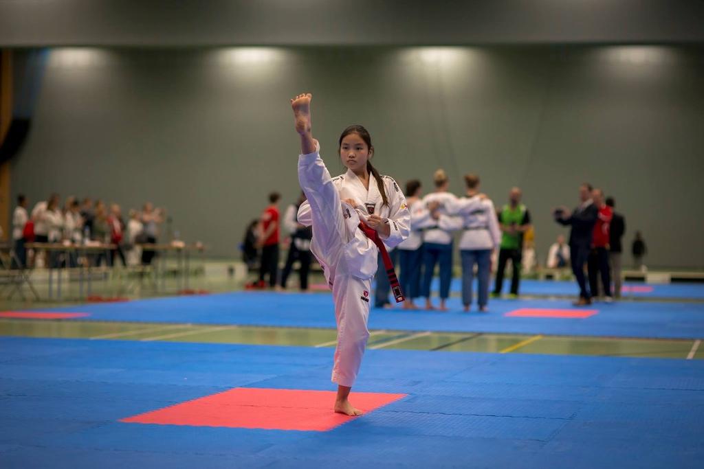 TAEKWONDO HELA LIVET MÅLBILD år 2025 Svensk Taekwondo har en verksamhet som du (oavsett ålder, kön, religion eller sexuell läggning) kan och vill vara delaktig i genom hela livet.