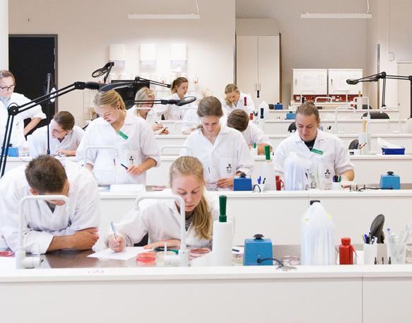 VETERINÄR Studieort: Uppsala Examen: Veterinärexamen Studieår: 5,5 Anmälan: Senast 15 april Start: Hösten 2019 Urval: Betyg och högskoleprov Ämnen: Medicin, kirurgi, anatomi, fysiologi, patologi,