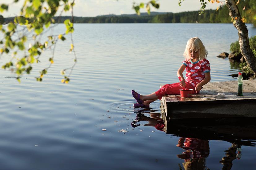 till Ockelbos historia.