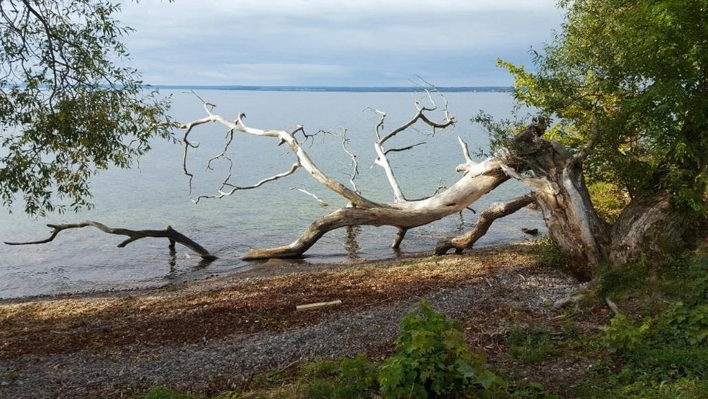 Figur 3. Vy över Vättern från Gränna (foto: Sascha Carlsson).