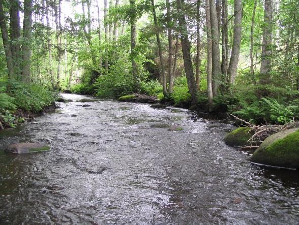 Flera av de undersökta sjöarna och vattendragen i avrinningsområdet är av riksintresse för naturvård (Ryssbysjön, Huluån, Stora Nätaren och Stensjön).