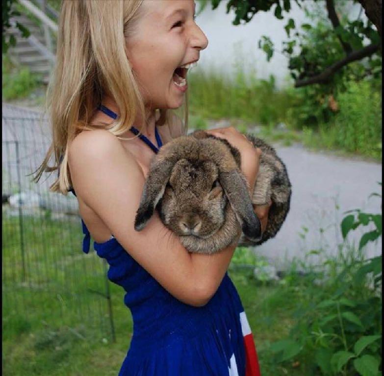 Kaniner kan bli gamla Om det sköts rätt Kaniner är ett väldigt omtyckt husdjur både för barn och vuxna. En vuxen ska alltid ha huvudansvaret över kaninen.