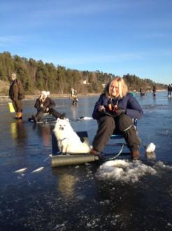 Efter att vi har grillat det vi har med oss i matsäcken, så går vi igenom livräddningskunskap på is och sedan går vi ner till isen där det finns en bastu vid stranden.