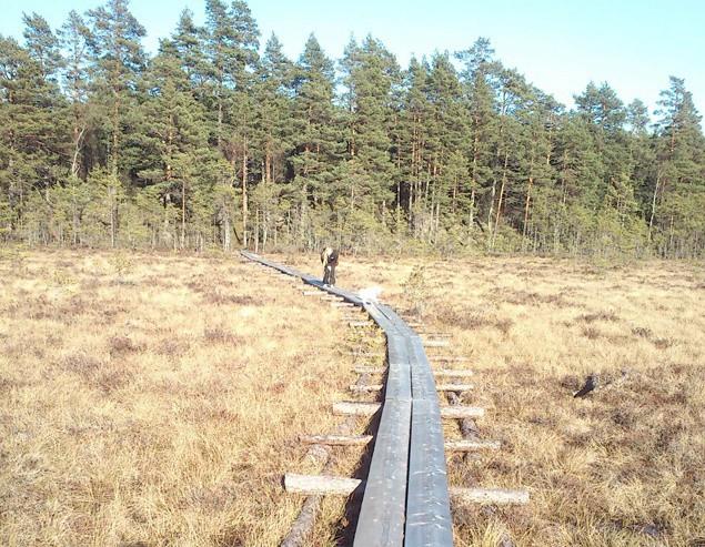 Sommaren 2010 gjorde Länsstyrelsen i Östergötland den 1a naturvårds bränning, vilket innebär att många fler arter som är beroende av brand nu har lyckats att åter etablera sig.