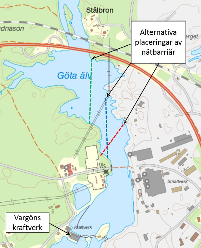 46 Figur 23. Rekommenderade placeringar av en nätbarriär uppströms Vargöns kraftverk i Göta älv (opublicerat, Pacific Netting, 2017).
