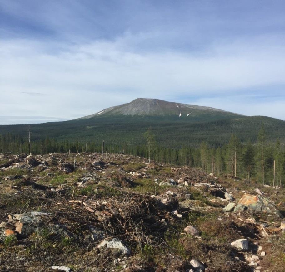 forest land in the region Bohus-Dal Erika Thunell Examensarbete i skogshushållning, 15 hp Serienamn: