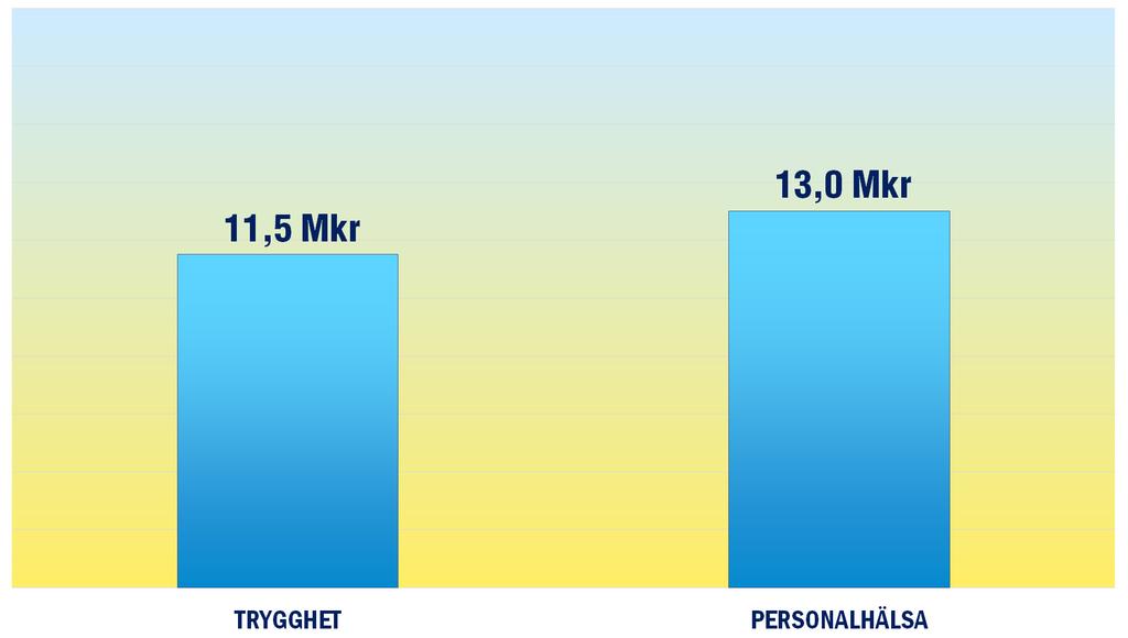 Det ger en överblick om hur vi valt att prioritera skattebetalarnas pengar under 2018.