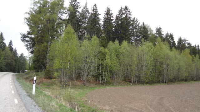 åkervallen Stig längs åkerkanten