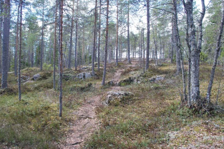 Stig mellan Lillberget och gårdsläget Tomtebogård