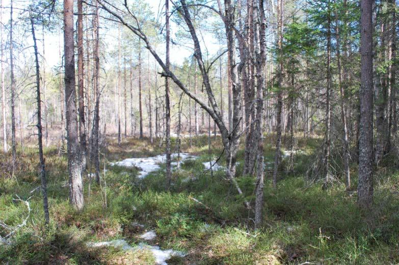 användas för att ta hand om dagvatten 10.