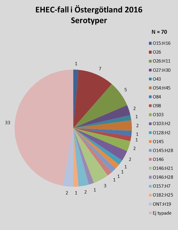 Figur 2 Serotyper och virulensfaktorer/hemolytiskt syndrom (HUS) Ett hundratal serotyper av EHEC har kopplats till human infektion. Den vanligaste i Sverige är O157:H7.