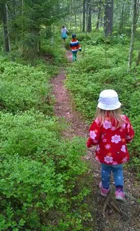 Skogen Delar av barrskogen i