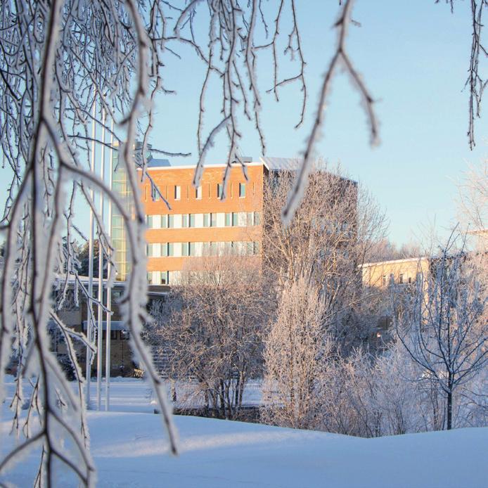 Umeå universitet Umeå universitet är ett av landets största universitet med cirka 4 300 anställda och 31 000 studenter.