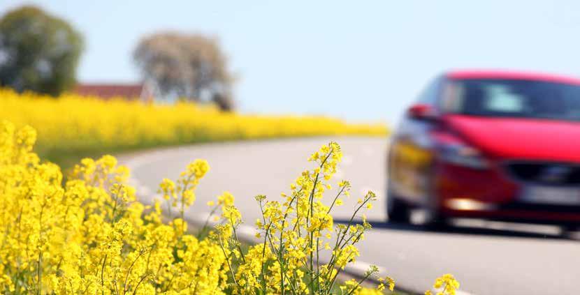 Vägen byggs om till en motorväg i samma sträcka som i dag. Arbetet startar hösten 2018 och beräknas vara klart 2022. Ett prioriterat område är att skydda vattentäkten Bergaåsen.