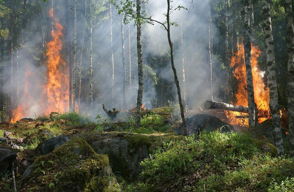 Nybro Räddningstjänst Handlingsprogram utifrån Lag om skydd mot olyckor Fastställd av kommunfullmäktige Gäller