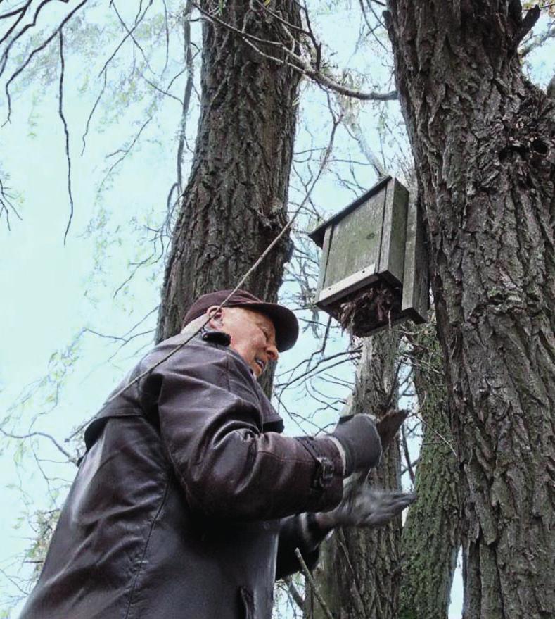 Insamling och tömning av holkar Materialet till denna studie fick vi från holkar som Mårten Björnsson med vänner har satt upp och övervakat i flera delar av Kristianstad.