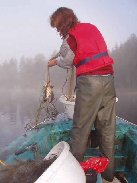 Rapport 27:7 Nätprovfiske i Västra Götalands län 26 Biologisk