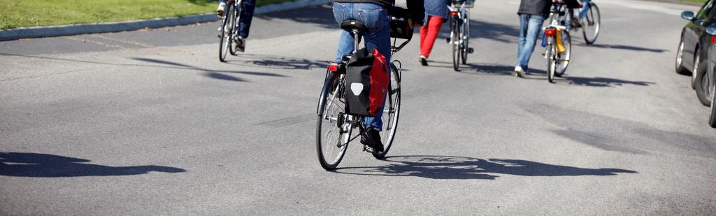 År 2020 finns attraktiva cykelvägar till och från skolor, arbetsplatser, fritidsanläggningar och butiker i länets alla tätorter.
