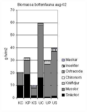 Statistisk samhällsanalys Bottenfaunans sammansättning har analyserats med MDS och klusteranalys.