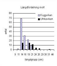 I Utrikeviken var fördelningen mellan de två djupområdena jämn, medan abborre och mört i Kuggviken framförallt fångades i vikens grundare del.
