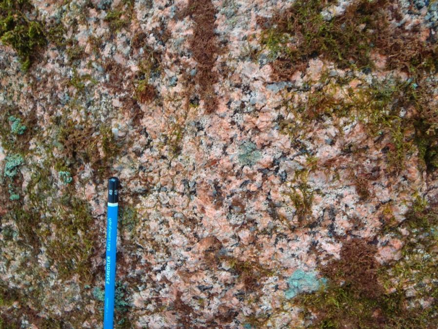 Detaljplan Långhagsgatan Bergteknisk utredning, radonundersökning 2 (7) 2 Geologi Bergarter Berggrunden består en massformig medel- till grovkornig gråröd granit till syenit.