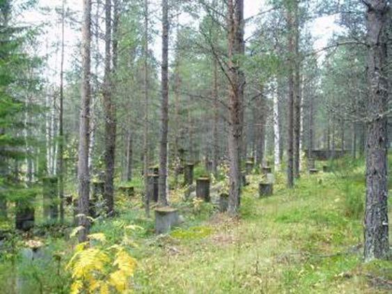 Idag finns endast gruvhål, gator och husgrunder kvar Lämningarna efter gruvsamhället Laver beskriver på ett tydligt sätt hur utsatt ett gruvsamhälle är.