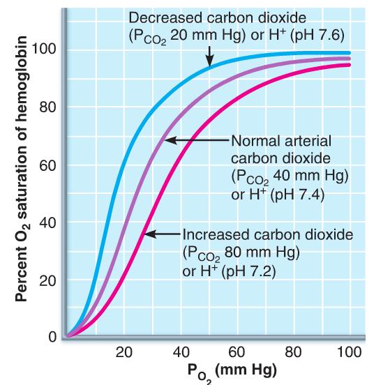 Normoventilation Hyper-