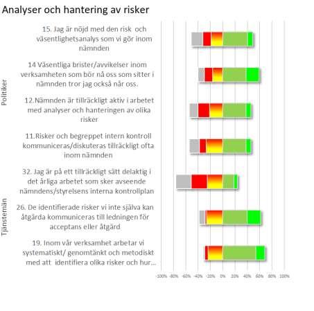 Övergripande granskning