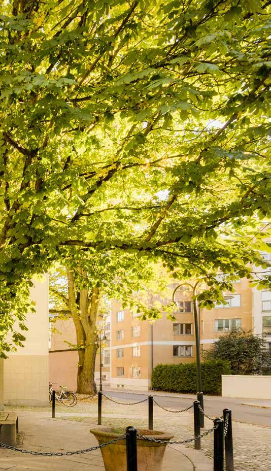 Marknadsområde Omsorgshus Inom marknadsområdet Omsorgshus äger och förvaltar Lejonfastigheter ett femtiotal hus för vård och omsorg.