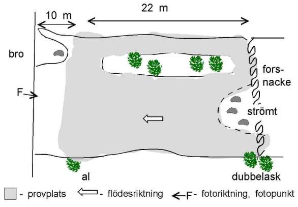 Rönne å - vattenkontroll Resultat: Pinnån, Storamölla, RO6 Provdatum: -8-6 art Resultat och beräkningar Antal fångade ind Minlängd Maxlängd Biomassa (g/m ) Fångseffekt (P -värde)* Beräknat antal ind