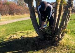 Gökottegolfen, 2 juni Poängbogey 18 hålspoängbogey i ottan, vi slår ut kl 06.00 och avslutar med gemensam brunch.