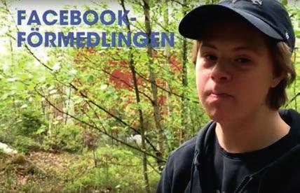 På andra sidan gatan börjar det skogsparti där alla hundar rastas två gånger om dagen.