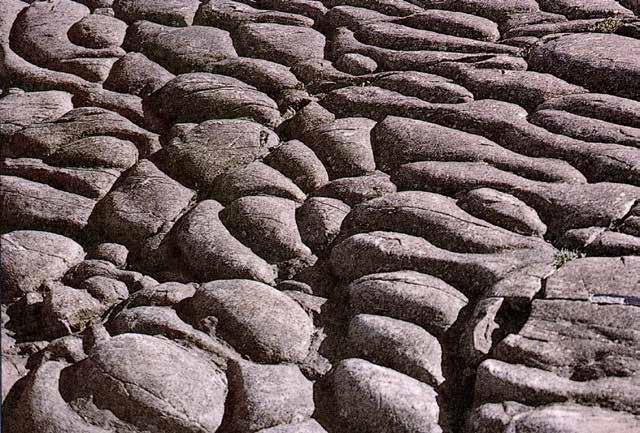 Otto Hermelin / SU Sida 10 Stromatoliter laminära bakteriemattor Stromatoliter är domformiga finlaminerade sedimentära strukturer, vanligtvis bestående av stora delar kalk
