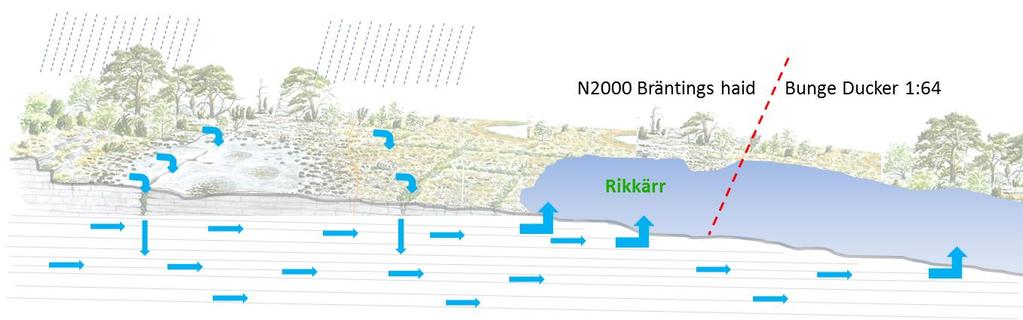 Den streckade röda linjen markerar var täkten kommer att skära av vissa våtmarker på mitten. Figur 10. En grovt schematisk bild av en täkt utan skyddsåtgärder.