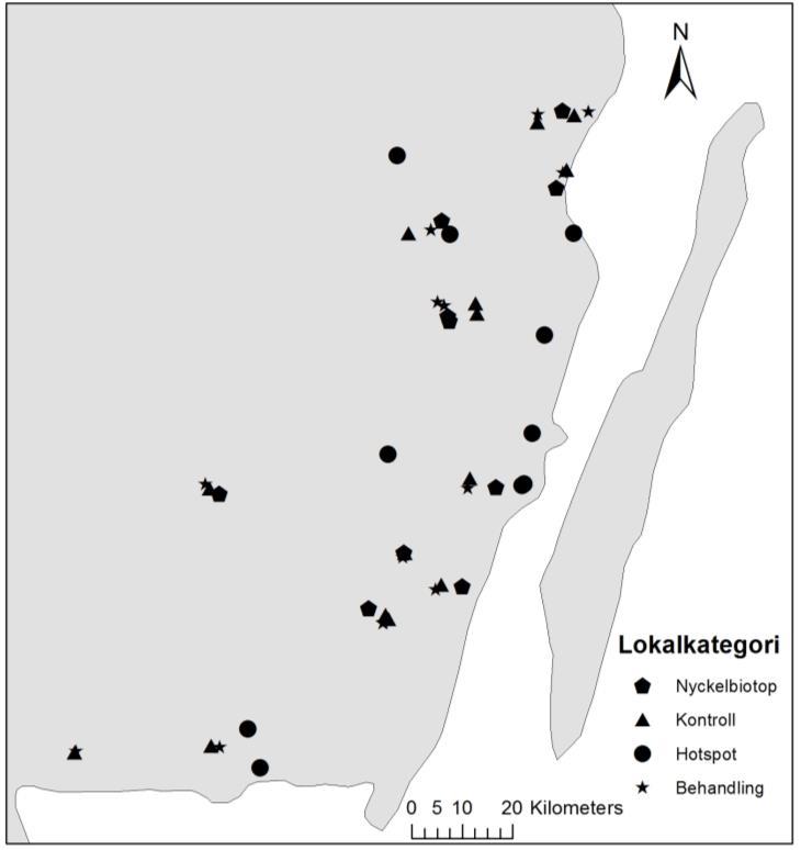 Utvecklingen tar ungefär två år och förpuppning sker normalt i veden (Bense 1995; Ehnström & Holmer 27).