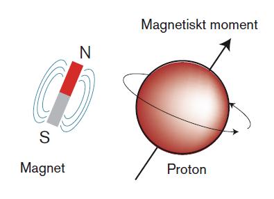 mangetfältet, sänder ut RF-signal MR